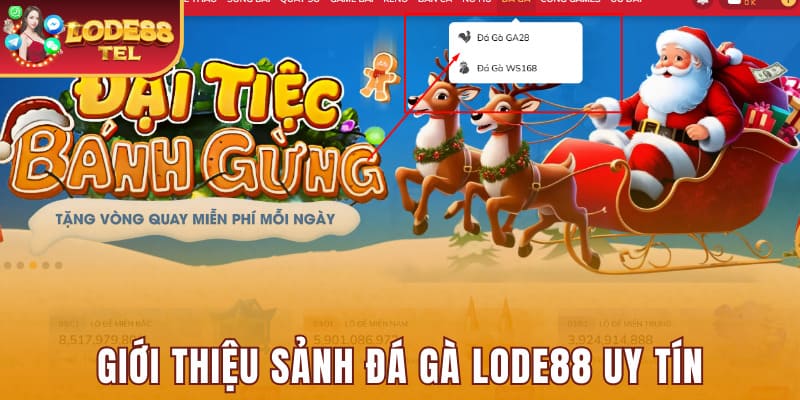 Giới thiệu sảnh đá gà Lode88 uy tín và hấp dẫn