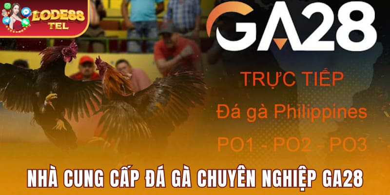 Nhà cung cấp đá gà chuyên nghiệp GA28