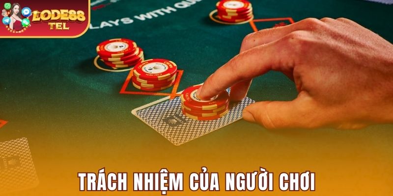 Trách nhiệm của người chơi theo điều khoản và điều kiện Lode88